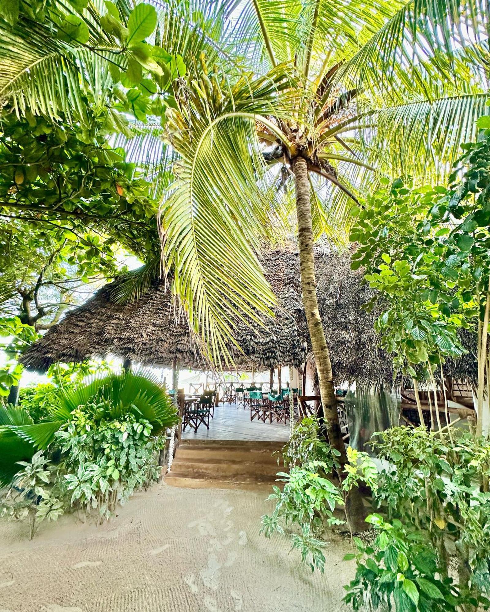 Hebe Bungalows Lodge Matemwe  Exterior photo